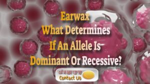 Can You Have Both Wet And Dry Earwax? – Dominant Or Recessive