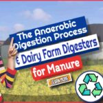 Dairy Farm Digesters – Anaerobic Digestion Process For Manure