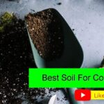 Best Soil For Containers – Gardening Made Simple