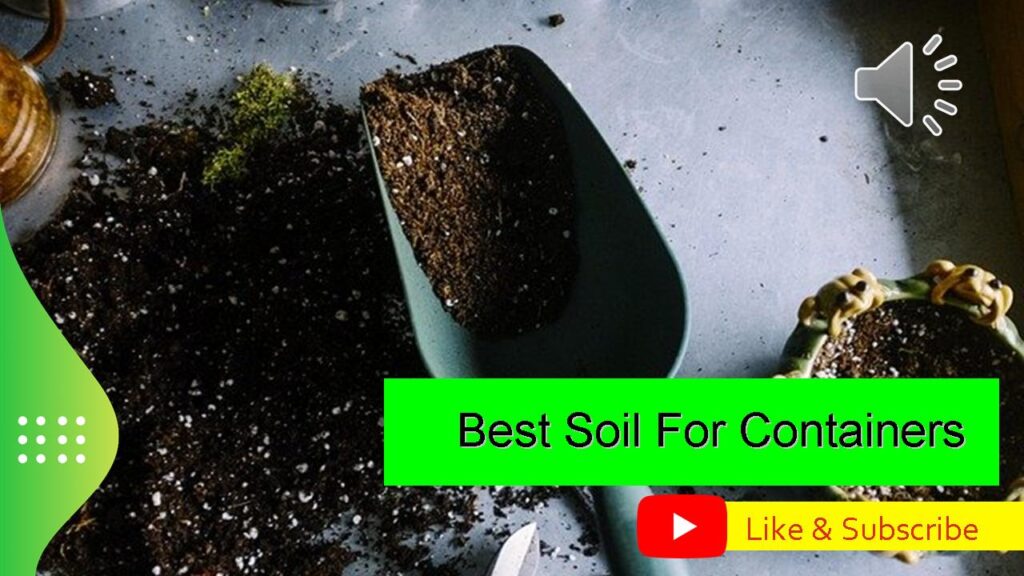 Best Soil For Containers – Gardening Made Simple