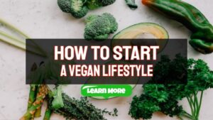 How to Start a Vegan Lifestyle – Get Educated, Make A Plan