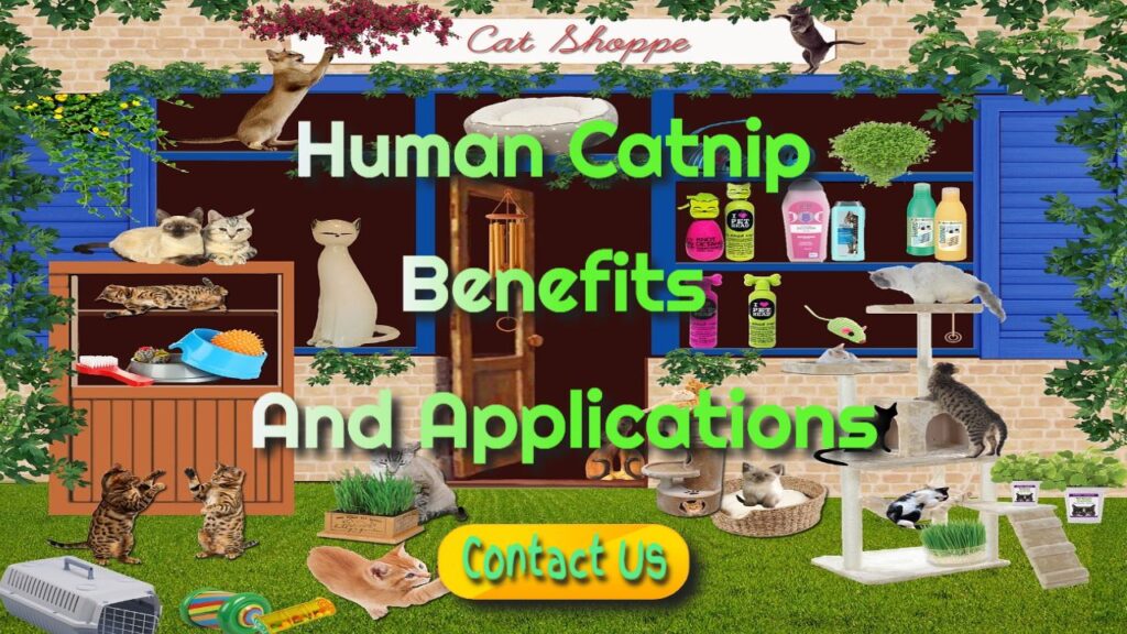 human benefits of catnip