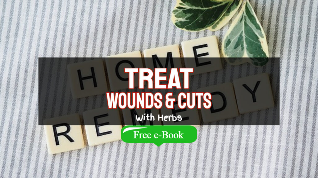 how to treat wounds and cuts with herbs