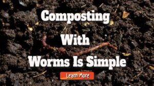 Indoor Composting With Worms Is Simple With These Steps