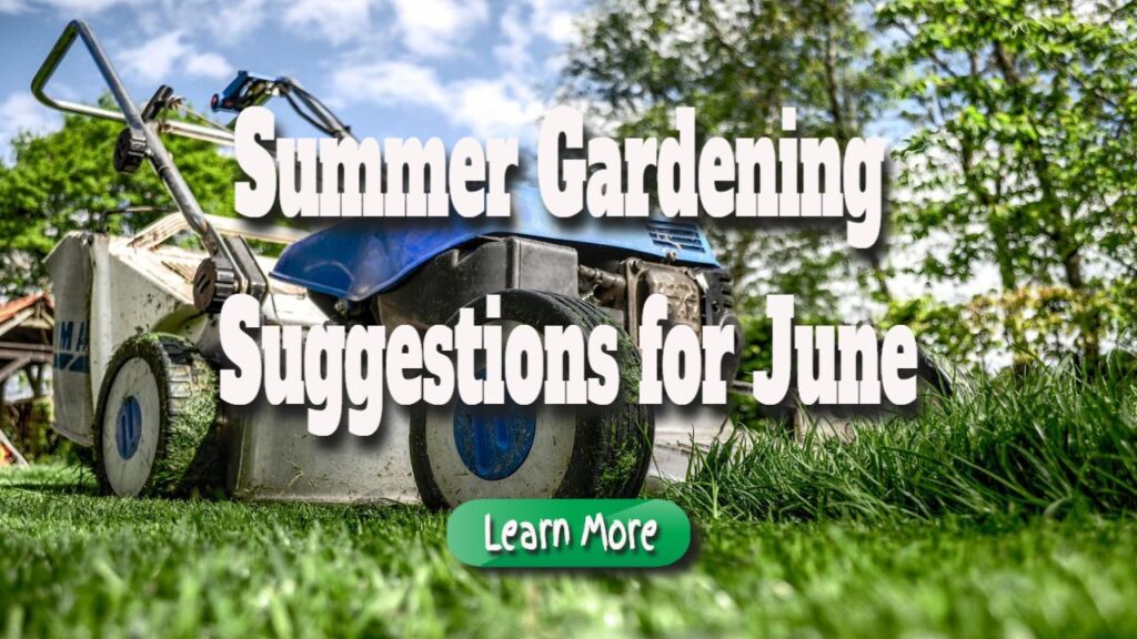 Summer Gardening Suggestions for June