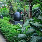 Tropical Landscape Gardeners: Elevating Your Sydney Garden