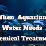 When And How Much Aquarium Water Needs Chemical Treatment