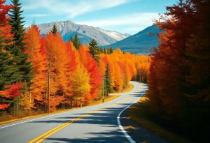 Scenic Drives for Fall Foliage Exploration in the U.S.