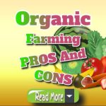 Organic Farming Pros and Cons: A Clear Overview