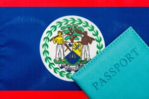 Online Immigration System for Traveling to Belize