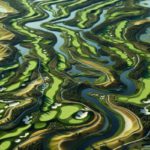 Golfing Destination: Discover Bellville Golf Club Today