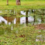 Stormwater Drain Solutions: Understanding Key Causes in Wollongong